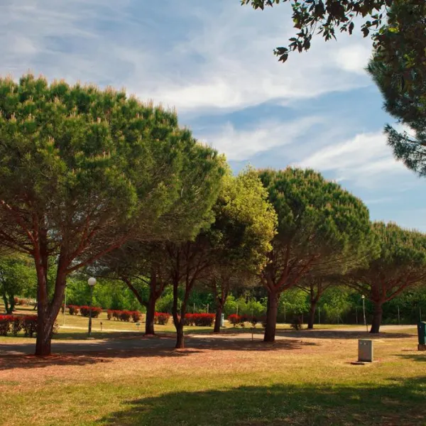 campingin-stella-maris-umag-umag-d5dei
