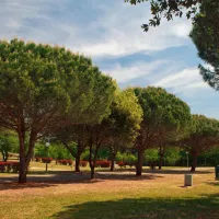 campingin-stella-maris-umag-umag-d5dei