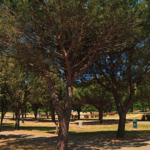 campingin-stella-maris-umag-umag-kfwyg