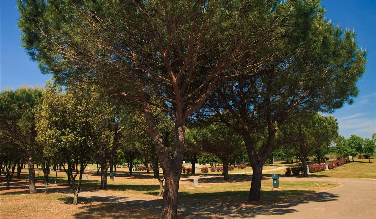 campingin-stella-maris-umag-umag-ltyfl