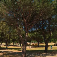 campingin-stella-maris-umag-umag-ltyfl