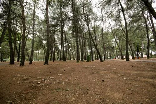 campingin-stella-maris-umag-umag-lxucn