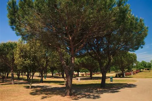 campingin-stella-maris-umag-umag-vvqjq
