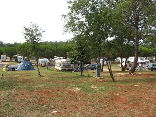 campingin-stella-maris-umag-umag-zezj1