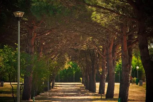 campingin-stella-maris-umag-umag-zkxzs