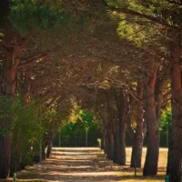 campingin-stella-maris-umag-umag-zkxzs
