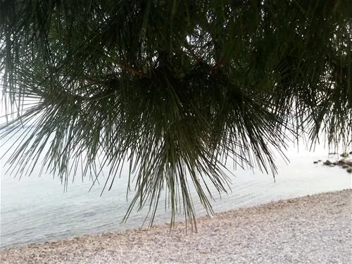 camp-sibuljina-starigrad-paklenica-l4gap