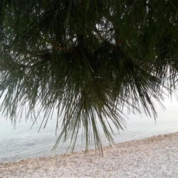 camp-sibuljina-starigrad-paklenica-l4gap