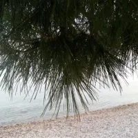 camp-sibuljina-starigrad-paklenica-l4gap