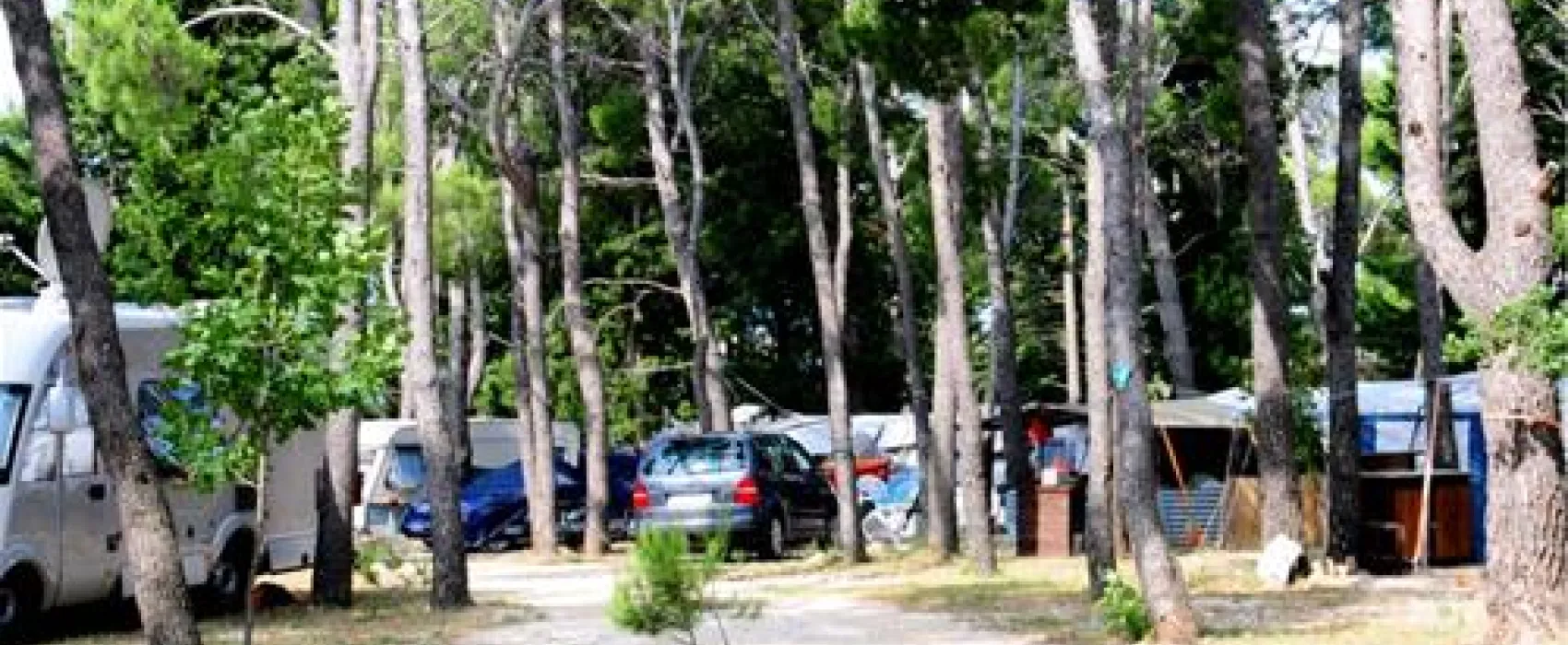 Camp Sibuljina