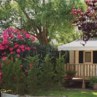 camping-le-grand-jardin-notre-dame-de-monts-oml7h