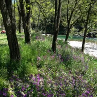 Camping Le Pont de La Selle  