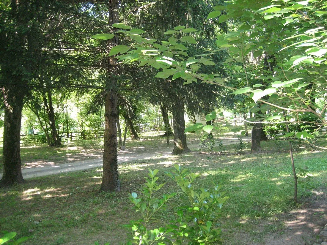 camping-le-pont-de-la-selle-sumene-vl88r