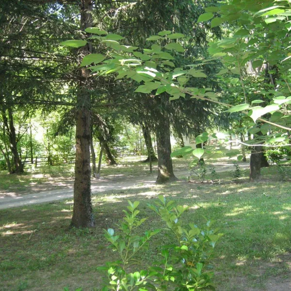 camping-le-pont-de-la-selle-sumene-vl88r