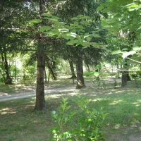 camping-le-pont-de-la-selle-sumene-vl88r