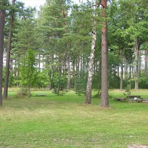 camping-voosemetsa-voose-eimtf