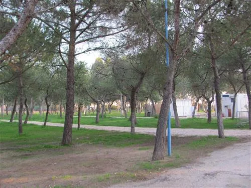 campeggio-lido-salpi-manfredonia-ter2y