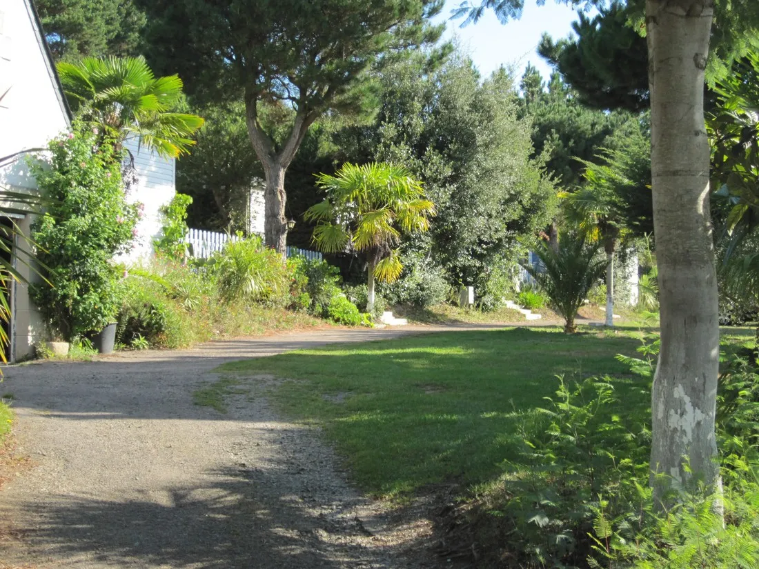 camping-des-palmiers-binic-6dwfv