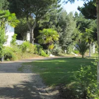 camping-des-palmiers-binic-6dwfv