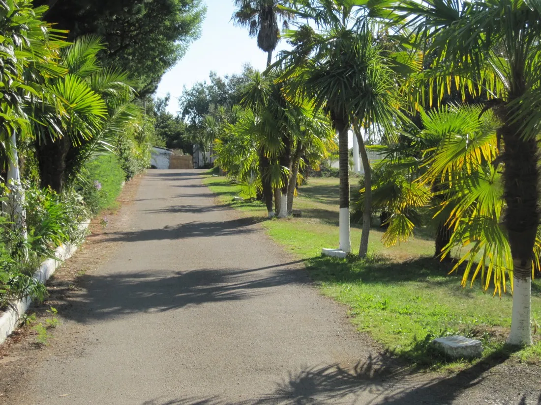 camping-des-palmiers-binic-o1cwn