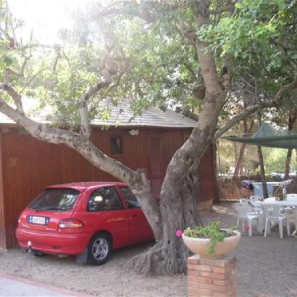 camping-vilanova-park-vilanova-i-la-geltr-meuo8