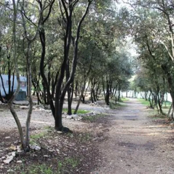 camping-san-polo-bale-ewglh