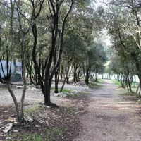 camping-san-polo-bale-ewglh