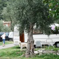 camping-claudia-malcesine-nc5wq