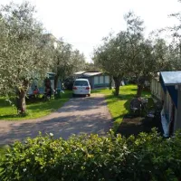 camping-claudia-malcesine-z6vst