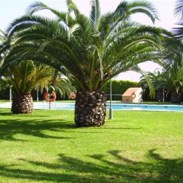 camping-trillasplatja-tamarit-tarragona-mjh5h