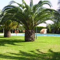 camping-trillasplatja-tamarit-tarragona-mjh5h