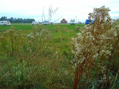 campingplatz-hooksiel-nordseekstenbadeort-hooksiel-3iqsi
