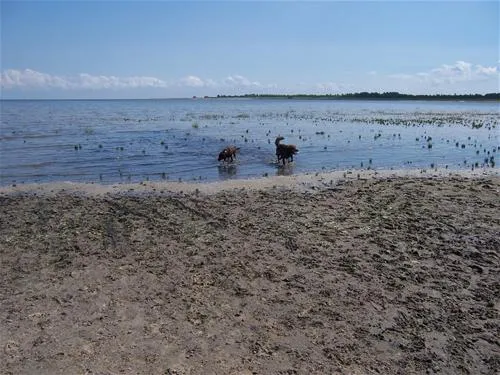 campingplatz-hooksiel-nordseekstenbadeort-hooksiel-c5v3r