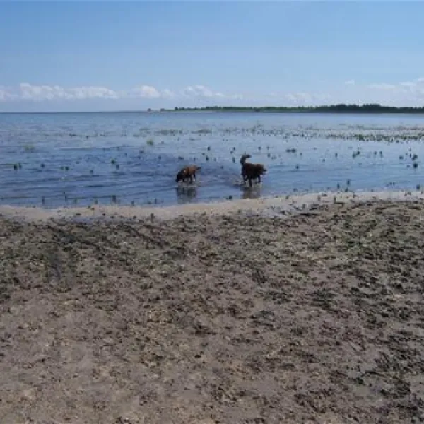 campingplatz-hooksiel-nordseekstenbadeort-hooksiel-c5v3r