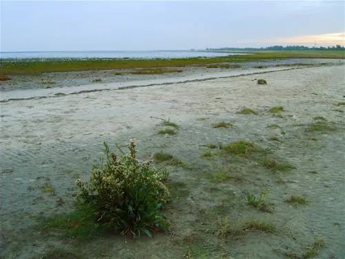 campingplatz-hooksiel-nordseekstenbadeort-hooksiel-cdqw8