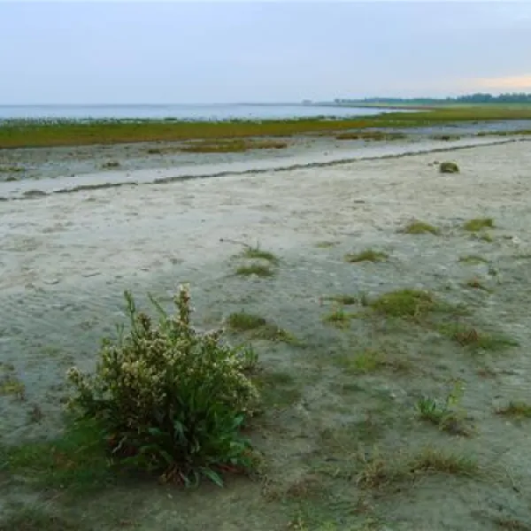 campingplatz-hooksiel-nordseekstenbadeort-hooksiel-cdqw8