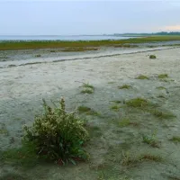campingplatz-hooksiel-nordseekstenbadeort-hooksiel-cdqw8