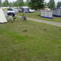 campingplatz-hooksiel-nordseekstenbadeort-hooksiel-cny48