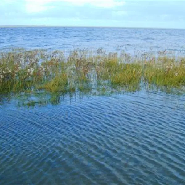 campingplatz-hooksiel-nordseekstenbadeort-hooksiel-yxxxb