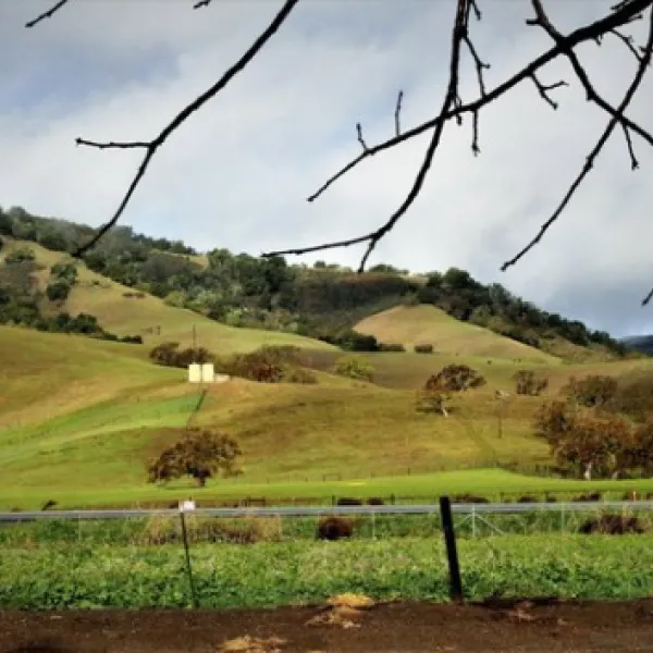 casa-de-fruta-orchard-resort-hollister-whvpp