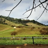 casa-de-fruta-orchard-resort-hollister-whvpp