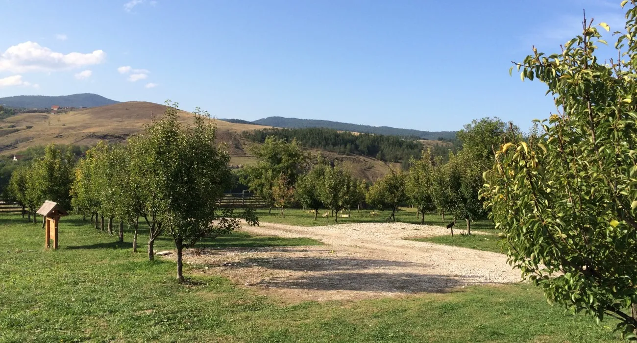 camping-viljamovka-kremna-lukav