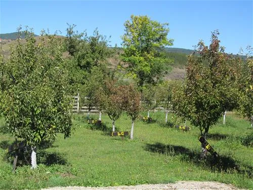 camping-viljamovka-kremna-m7jim
