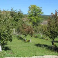 camping-viljamovka-kremna-m7jim