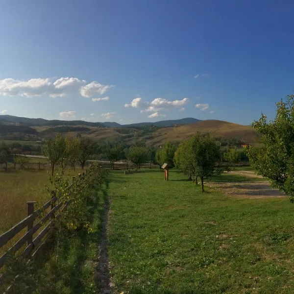 camping-viljamovka-kremna-pag2u