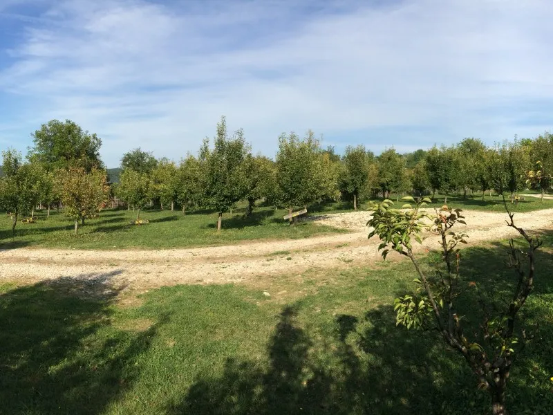 camping-viljamovka-kremna-xxuid