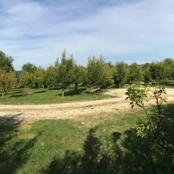 camping-viljamovka-kremna-xxuid