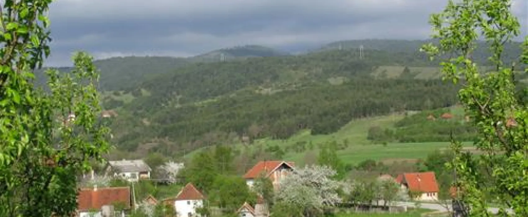Camping Viljamovka