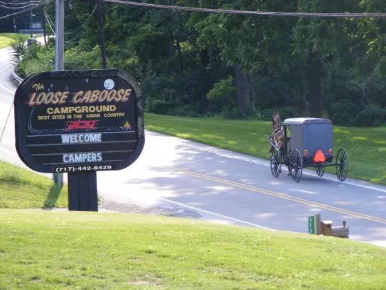 the-loose-caboose-campground-kinzers-cngci