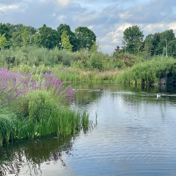 omgeving (20)